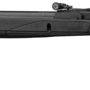 Carabine GAMO Delta Black synthétique - 4.5mm - 7,5 joules