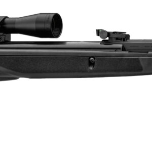 Carabine GAMO Black Bear + 4x32 wr