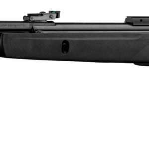 Carabine à plomb Gamo BIG CAT 1000-E IGT Cal. 4,5 mm