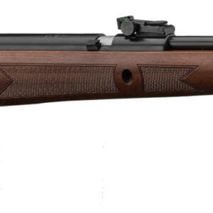 Carabine GAMO CFX ROYAL à canon fixe - 19,9J