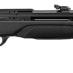 Carabine PCP GAMO Arrow 4.5mm